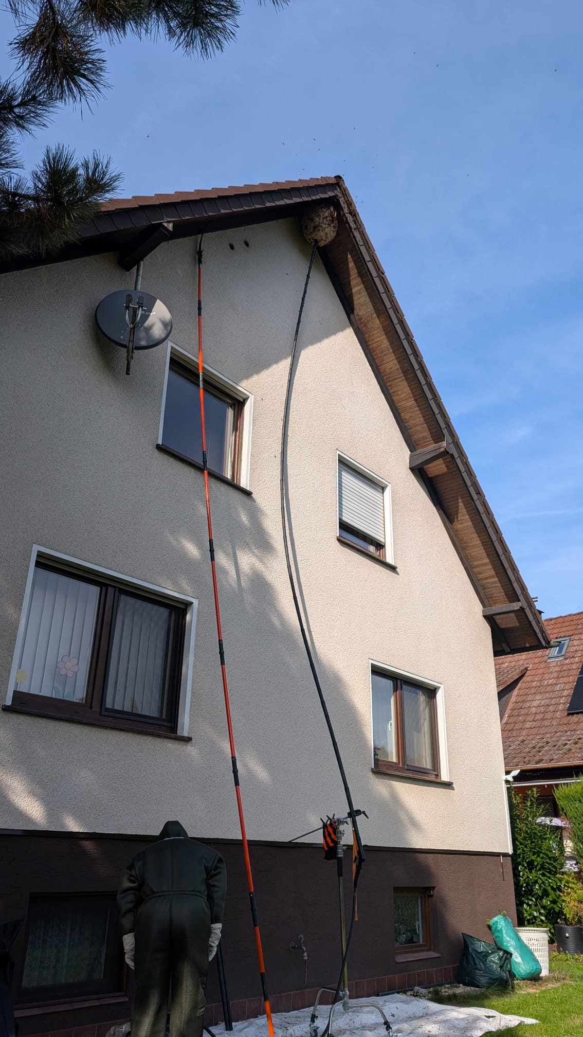 Dampfleitung an einer Hauswand zur Bekämpfung von Hornissennestern